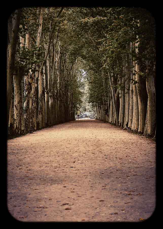 Chenonceaux